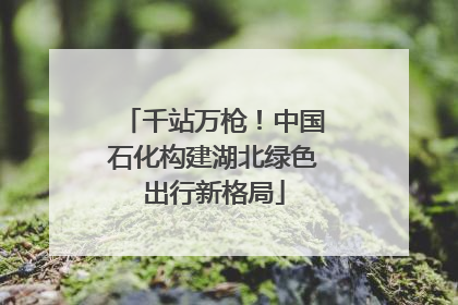千站万枪！中国石化构建湖北绿色出行新格局