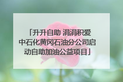 升升自助 涓涓积爱 中石化黄冈石油分公司启动自助加油公益项目