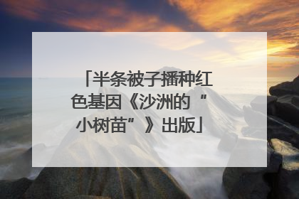 半条被子播种红色基因《沙洲的“小树苗”》出版