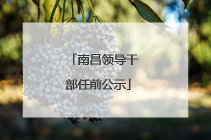 南昌领导干部任前公示