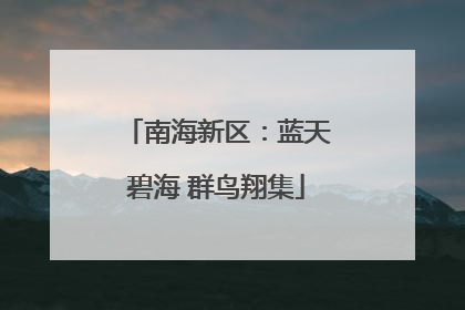 南海新区：蓝天碧海 群鸟翔集