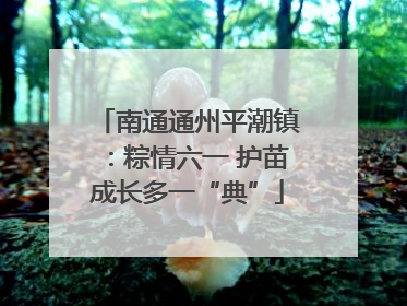 南通通州平潮镇：粽情六一 护苗成长多一“典”