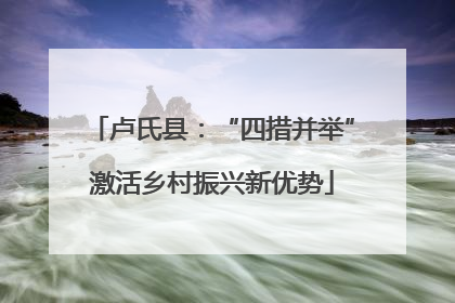 卢氏县：“四措并举”激活乡村振兴新优势