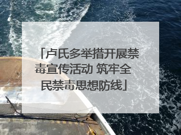 卢氏多举措开展禁毒宣传活动 筑牢全民禁毒思想防线