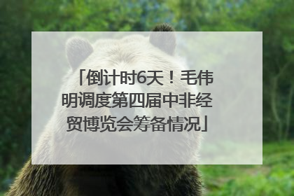 倒计时6天！毛伟明调度第四届中非经贸博览会筹备情况