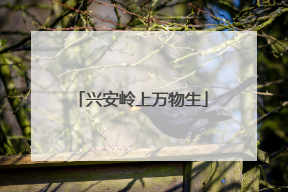 兴安岭上万物生