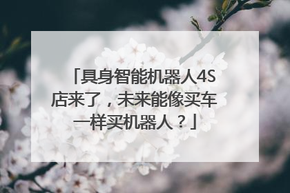 具身智能机器人4S店来了，未来能像买车一样买机器人？