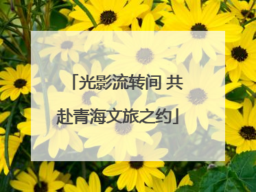 光影流转间 共赴青海文旅之约