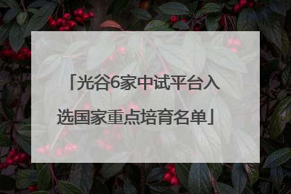 光谷6家中试平台入选国家重点培育名单
