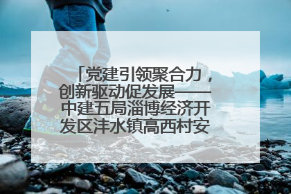 党建引领聚合力，创新驱动促发展——中建五局淄博经济开发区沣水镇高西村安置项目建设纪实