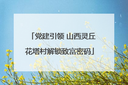 党建引领 山西灵丘花塔村解锁致富密码