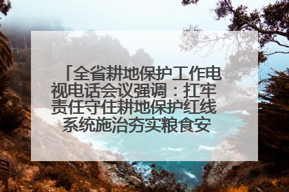 全省耕地保护工作电视电话会议强调：扛牢责任守住耕地保护红线 系统施治夯实粮食安全根基 王宁作出批示 王予波出席并讲话