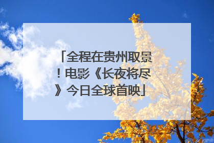 全程在贵州取景！电影《长夜将尽》今日全球首映