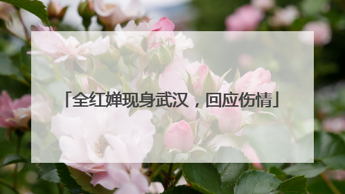 全红婵现身武汉，回应伤情