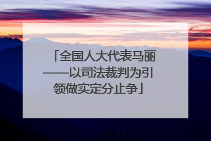 全国人大代表马丽——以司法裁判为引领做实定分止争