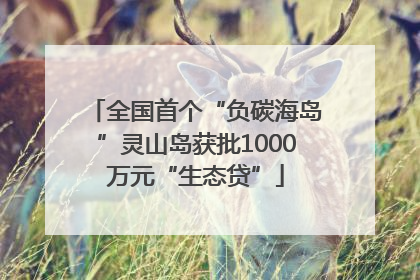 全国首个“负碳海岛”灵山岛获批1000万元“生态贷”