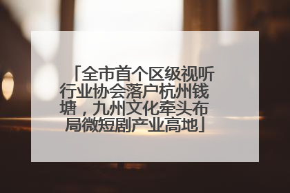 全市首个区级视听行业协会落户杭州钱塘，九州文化牵头布局微短剧产业高地