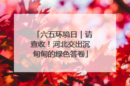 六五环境日｜请查收！河北交出沉甸甸的绿色答卷