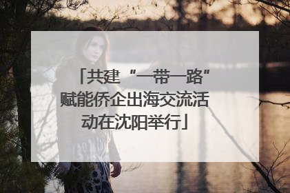 共建“一带一路”赋能侨企出海交流活动在沈阳举行