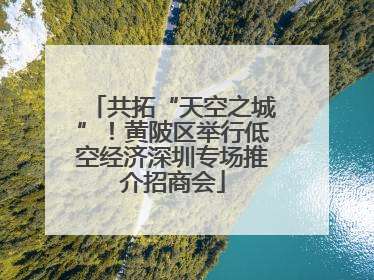 共拓“天空之城”！黄陂区举行低空经济深圳专场推介招商会