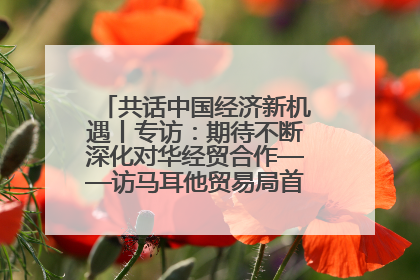 共话中国经济新机遇丨专访：期待不断深化对华经贸合作——访马耳他贸易局首席执行官布蒂吉格