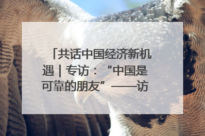 共话中国经济新机遇｜专访：“中国是可靠的朋友”——访马来西亚种植及原产业部副部长陈泓缣