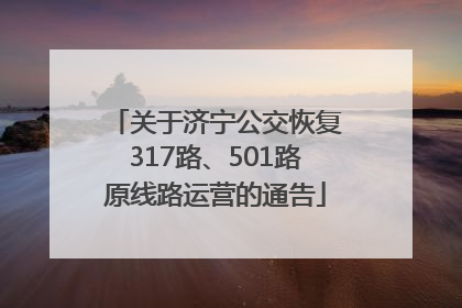 关于济宁公交恢复317路、501路原线路运营的通告