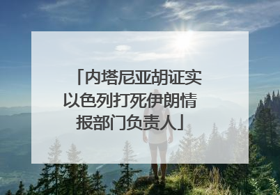 内塔尼亚胡证实以色列打死伊朗情报部门负责人