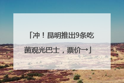 冲！昆明推出9条吃菌观光巴士，票价→