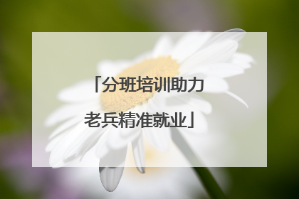 分班培训助力老兵精准就业
