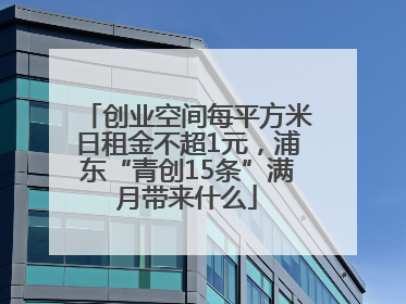 创业空间每平方米日租金不超1元，浦东“青创15条”满月带来什么