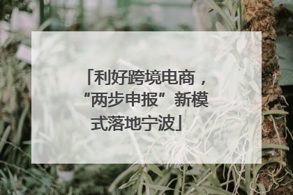 利好跨境电商，“两步申报”新模式落地宁波