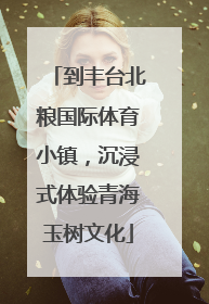 到丰台北粮国际体育小镇，沉浸式体验青海玉树文化
