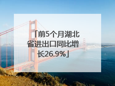 前5个月湖北省进出口同比增长26.9%
