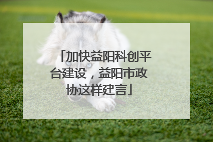 加快益阳科创平台建设，益阳市政协这样建言