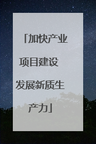 加快产业项目建设 发展新质生产力
