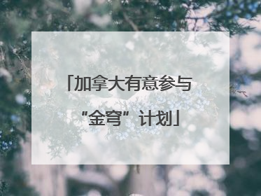 加拿大有意参与“金穹”计划