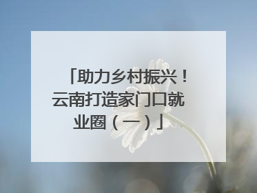 助力乡村振兴！云南打造家门口就业圈（一）