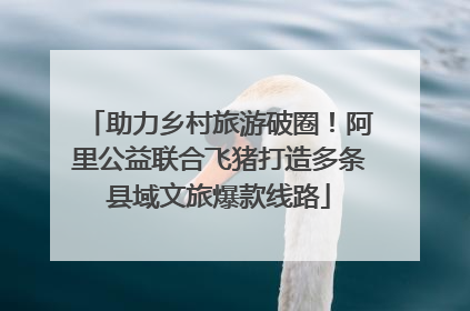 助力乡村旅游破圈！阿里公益联合飞猪打造多条县域文旅爆款线路