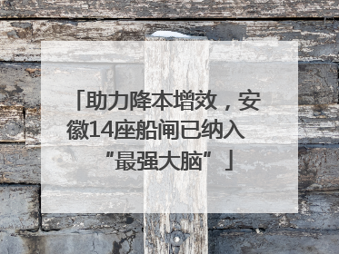 助力降本增效，安徽14座船闸已纳入“最强大脑”