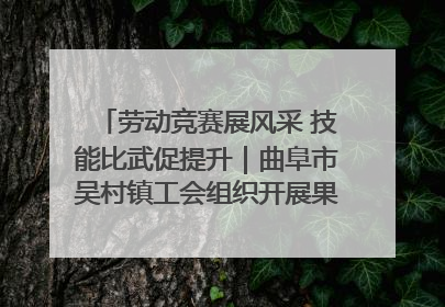 劳动竞赛展风采 技能比武促提升｜曲阜市吴村镇工会组织开展果树套袋技能竞赛