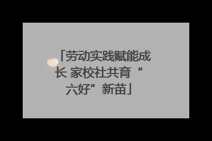 劳动实践赋能成长 家校社共育“六好”新苗