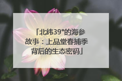 北纬39°的海参故事：上品堂春捕季背后的生态密码
