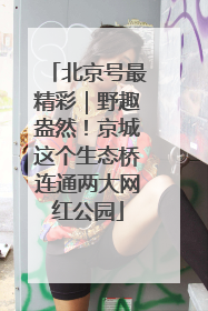 北京号最精彩｜野趣盎然！京城这个生态桥连通两大网红公园
