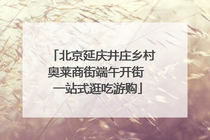北京延庆井庄乡村奥莱商街端午开街 一站式逛吃游购