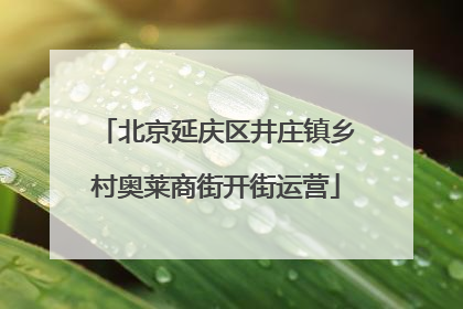 北京延庆区井庄镇乡村奥莱商街开街运营