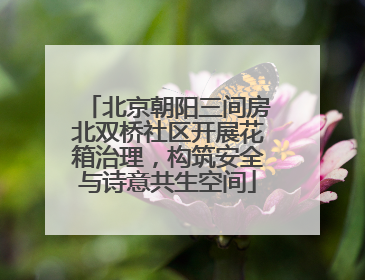 北京朝阳三间房北双桥社区开展花箱治理，构筑安全与诗意共生空间
