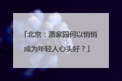 北京：潘家园何以悄悄成为年轻人心头好？