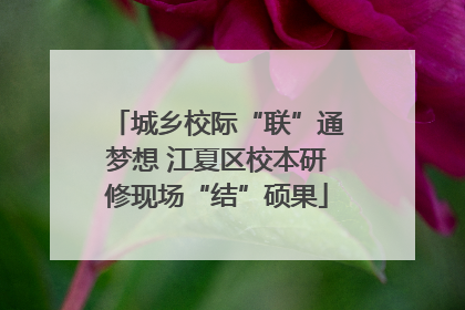 城乡校际“联”通梦想 江夏区校本研修现场“结”硕果