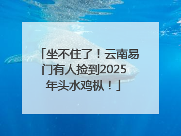 坐不住了！云南易门有人捡到2025年头水鸡枞！